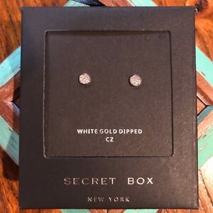 💎White Gold Dipped CZ Studs